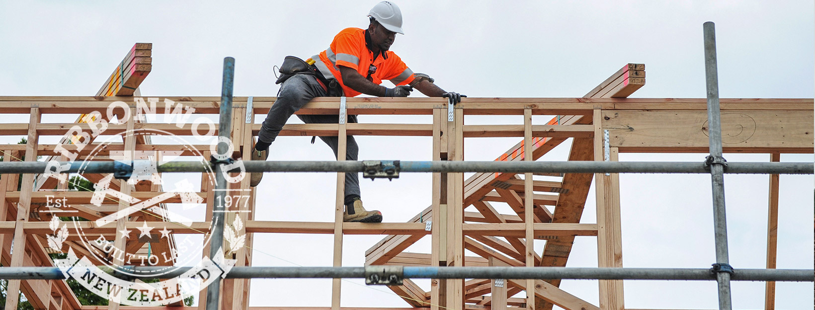 What now for the NZ forest industry?