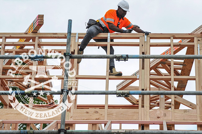 What Now for the NZ ForestIndustry