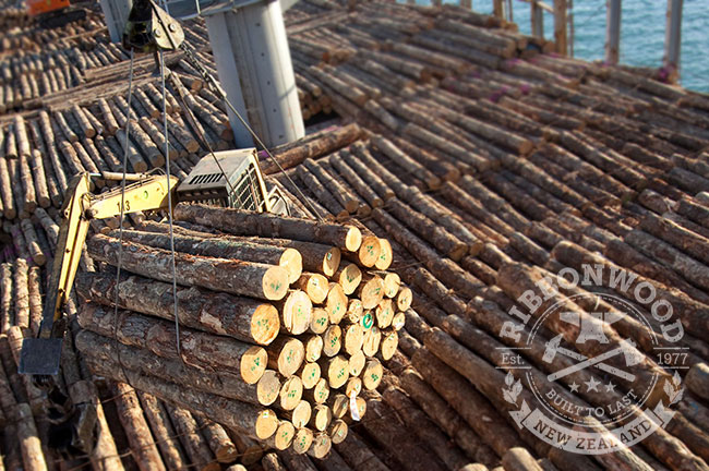 NZ Forestry News - Chinese Log Market Collapsing