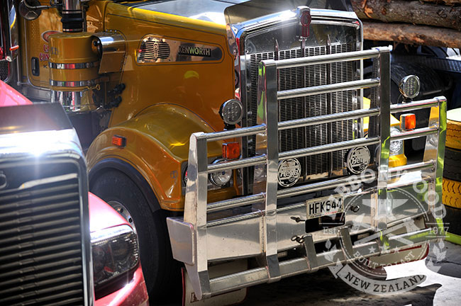 NZ News - EXPO Mystery Creek March 2017