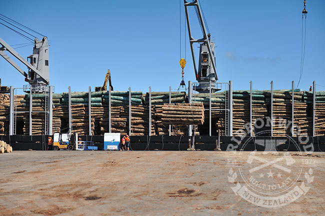 NZ Forestry news - Log Sales 2017 Outlook