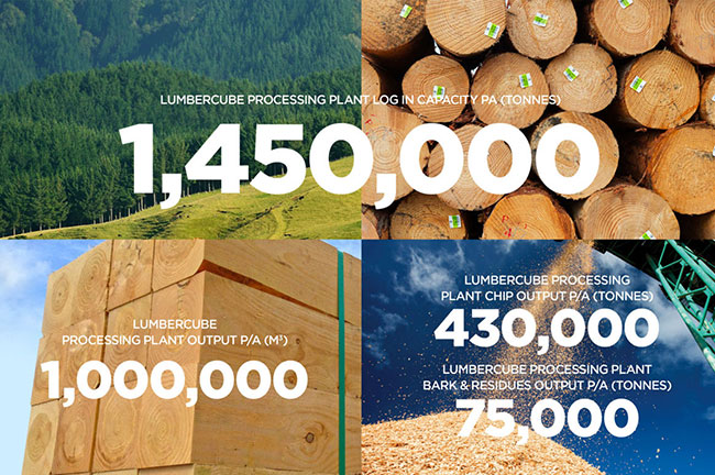 What Now for the NZ ForestIndustry