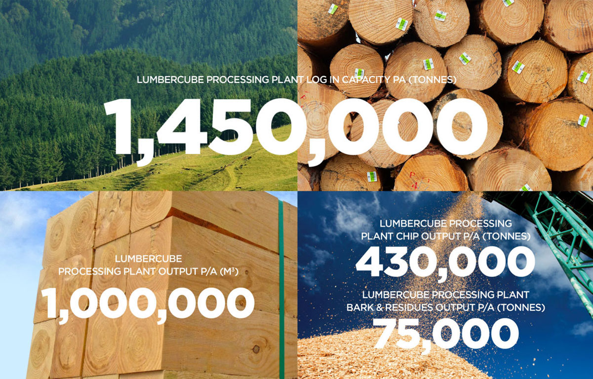 What now for the NZ forest industry?