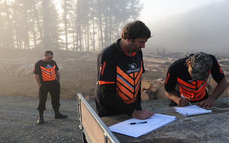 Ribbonwood NZ: Contractor Support