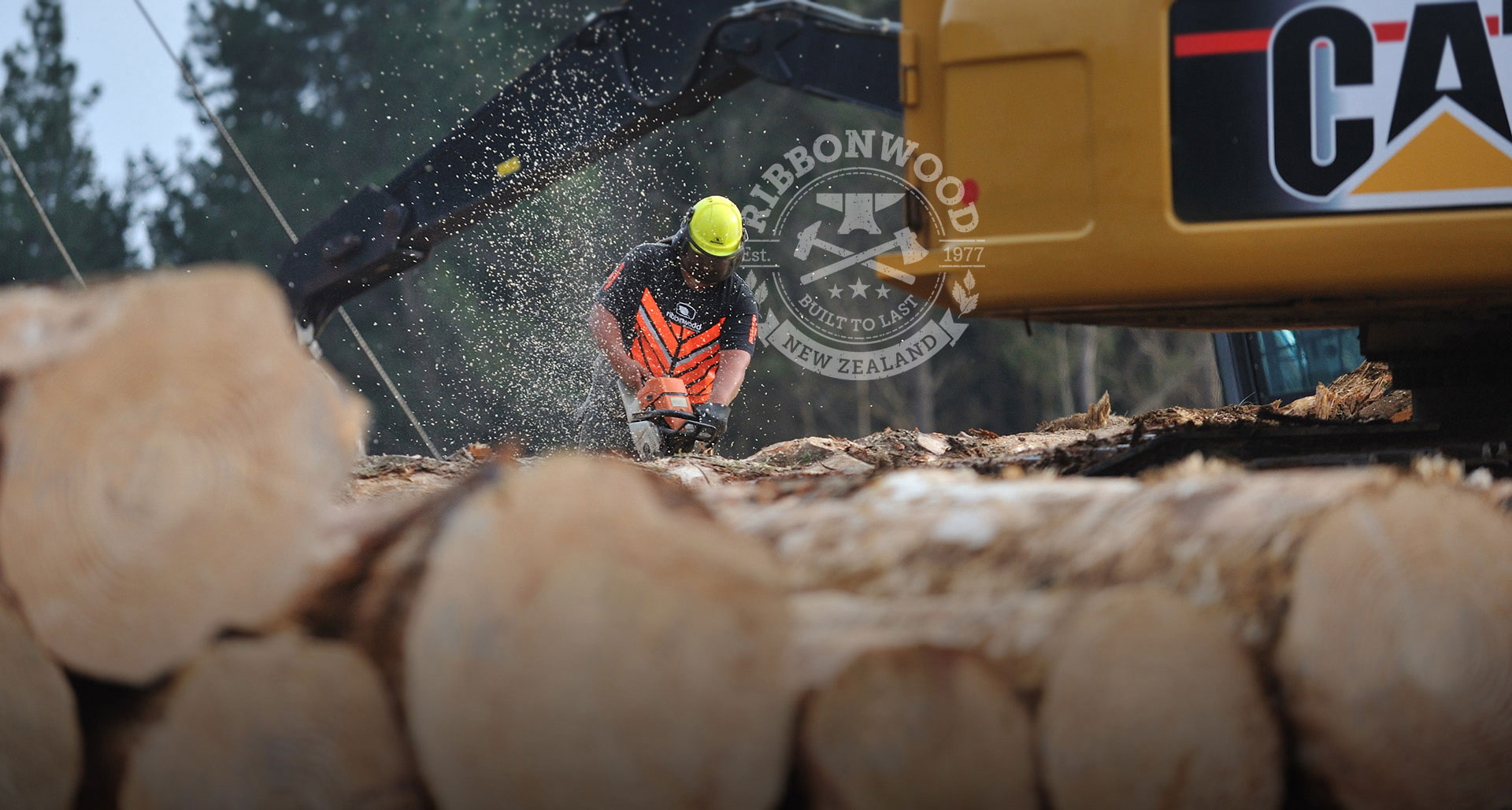 Ribbonwood NZ forest harvesting marketing & management