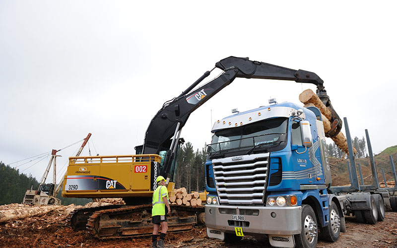 Ribbonwood NZ: Workplace Health and Safety